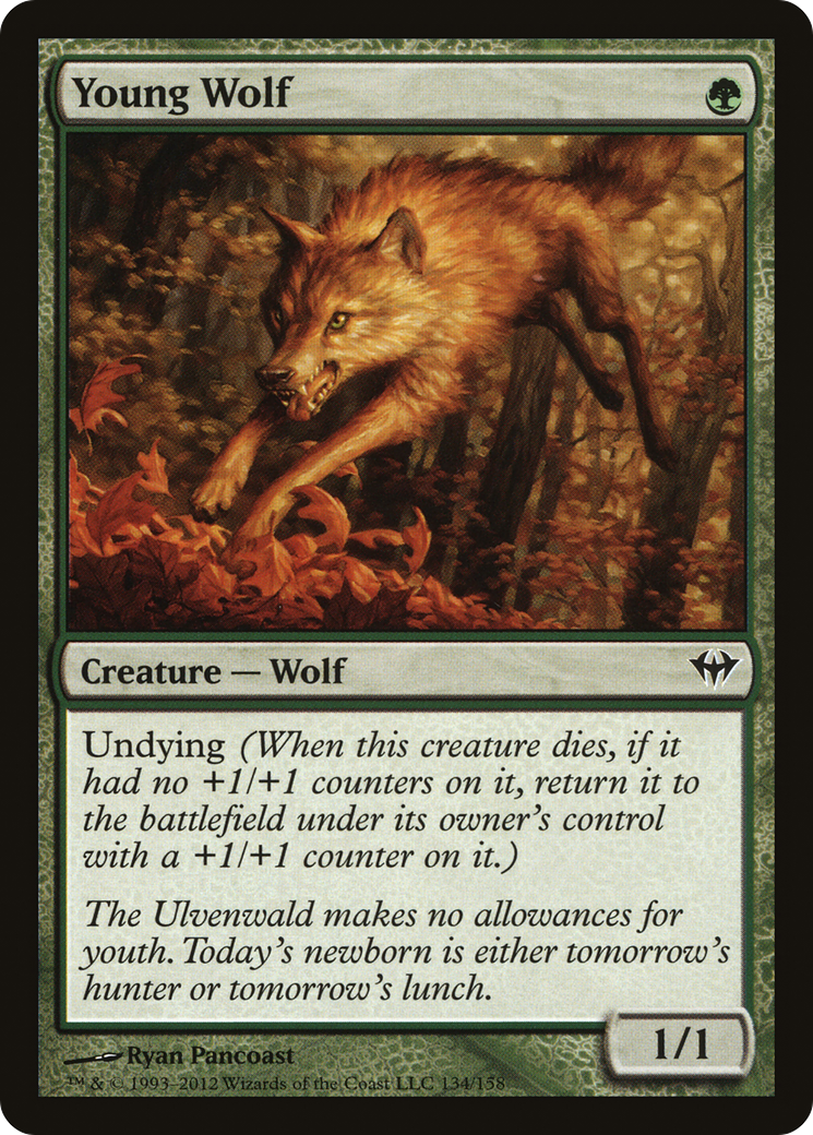 Young Wolf (DKA-134) [Dark Ascension] Foil