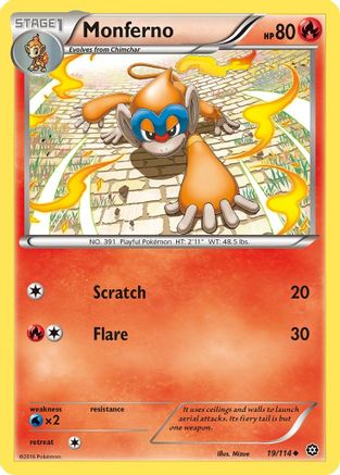 Monferno (019/114) [XY  Steam Siege] Reverse Holofoil - Uncommon