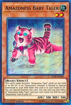 Amazoness Baby Tiger (Ultra Rare) (LEDU-EN009) - Legendary Duelists 1st Edition