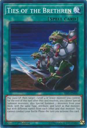 Ties of the Brethren (Common) (SR05-EN030) - Structure Deck: Wave of Light 1st Edition