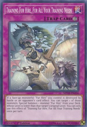 Training Fur Hire, Fur All Your Training Needs (Common) (MP19-EN256) - 2019 Gold Sarcophagus Tin Mega Pack Unlimited