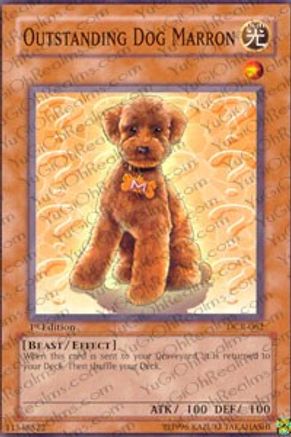 Outstanding Dog Marron (Common) (DCR-062) - Dark Crisis Unlimited
