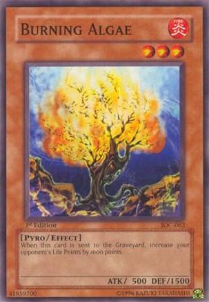 Burning Algae (Common) (IOC-062) - Invasion of Chaos 1st Edition
