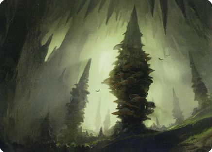 Forest (55/81) Art Card (ASAFR-055) [Art Series: Adventures in the Forgotten Realms]