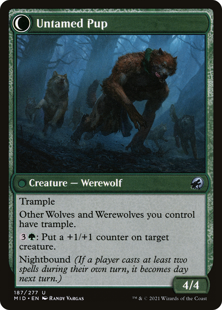 Hound Tamer (MID-187) [Innistrad: Midnight Hunt] Foil
