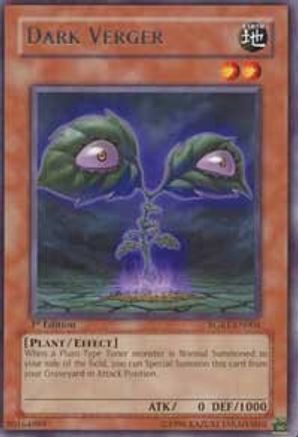 Dark Verger (Rare) (RGBT-EN004) - Raging Battle Unlimited