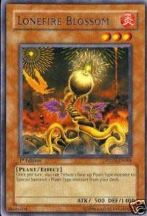 Lonefire Blossom (Rare) (PTDN-EN088) - Phantom Darkness 1st Edition