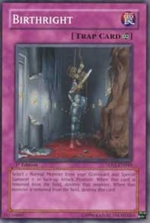 Birthright (Common) (5DS1-EN040) - 5D's 2008 Starter Deck 1st Edition