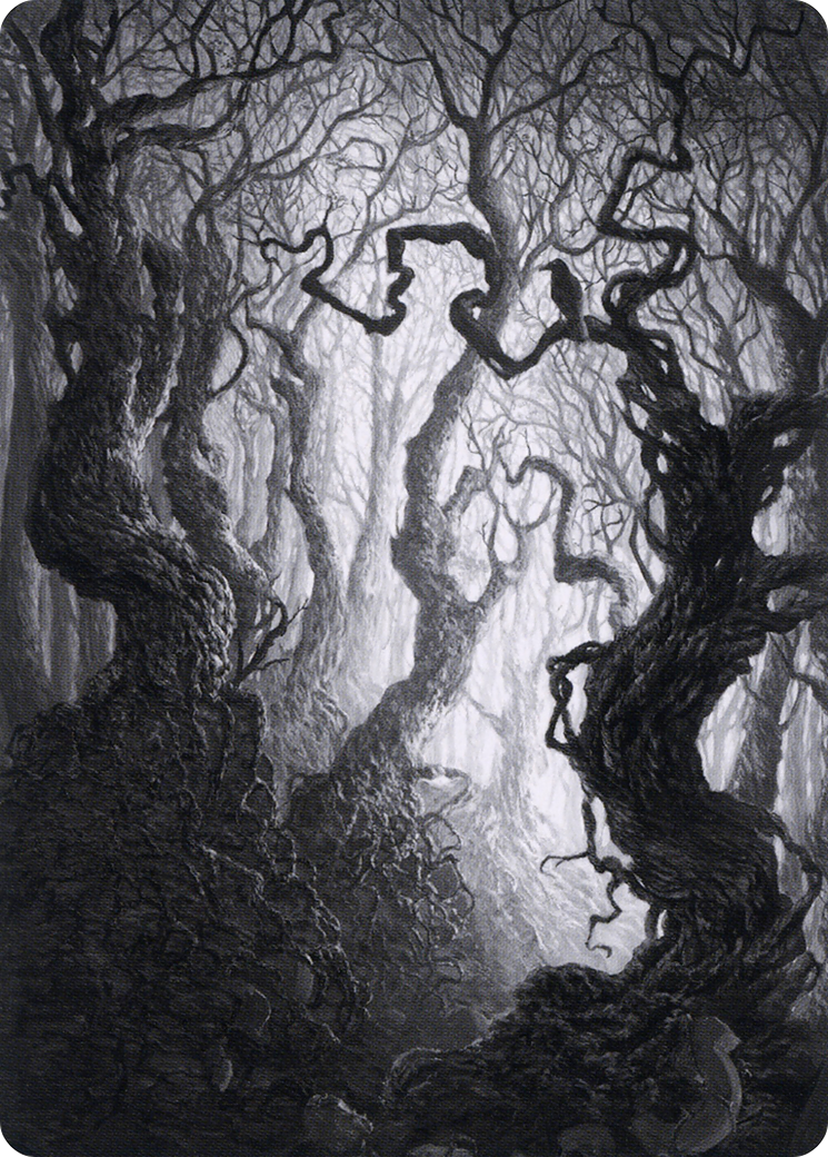 Forest // Forest (AMID-080) (Borderless) [Midnight Hunt Art Series]