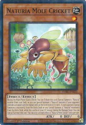 Naturia Mole Cricket (Common) (DABL-EN020) - Darkwing Blast 1st Edition