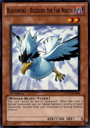 Blackwing - Blizzard the Far North (Common) (DP11-EN003) - Duelist Pack 11: Crow 1st Edition