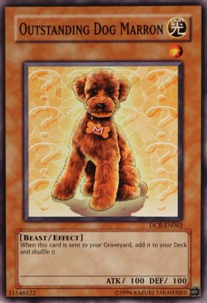 Outstanding Dog Marron (Common) (DCR-EN062) - Dark Crisis (Worldwide English) Unlimited