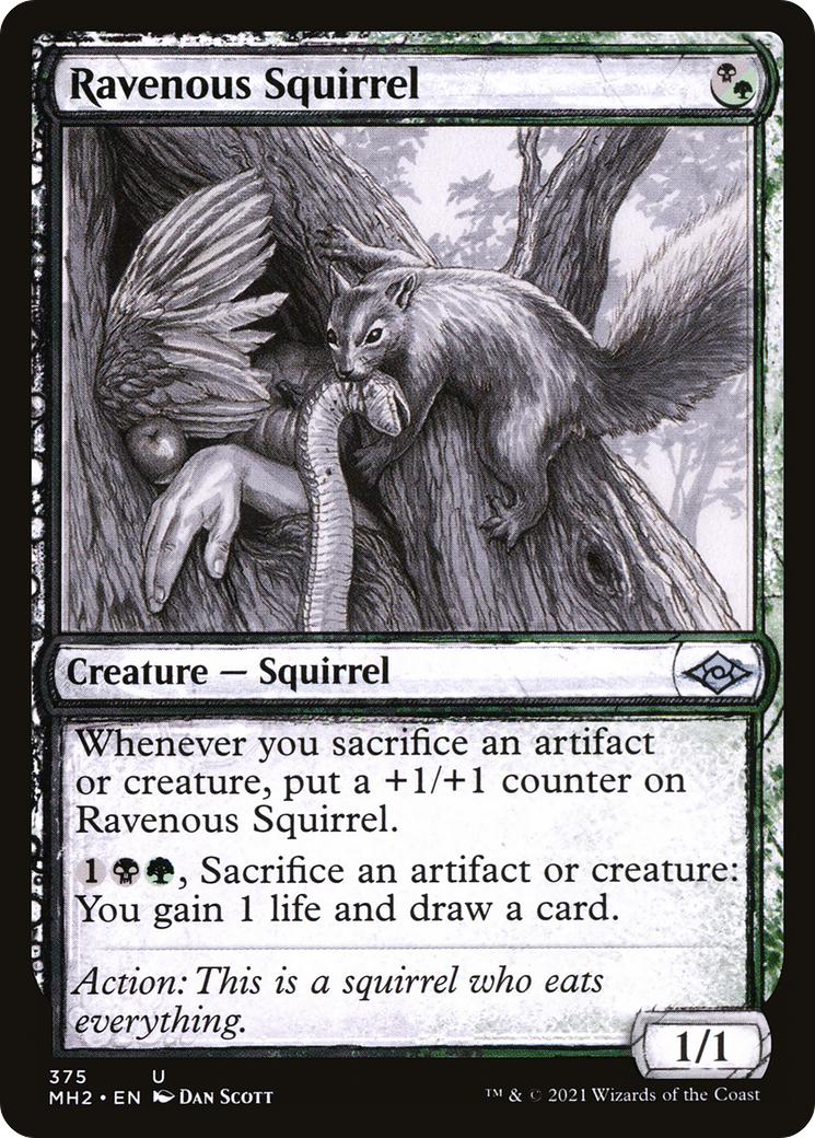 Ravenous Squirrel (Showcase) (MH2-375) [Modern Horizons 2] Foil