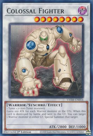 Colossal Fighter (Rare) (VASM-EN054) - Valiant Smashers 1st Edition