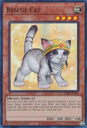 Rescue Cat (Alternate Art) (Super Rare) (RA02-EN001) - 25th Anniversary Rarity Collection II 1st Edition