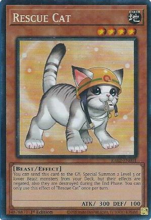 Rescue Cat (Alternate Art) (Prismatic Collector's Rare) (RA02-EN001) - 25th Anniversary Rarity Collection II 1st Edition