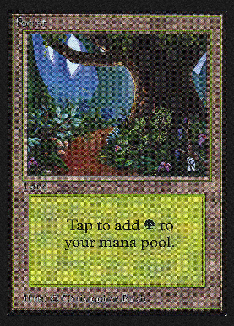 Forest (B) (IE) (IED-281) [Intl. Collectors' Edition]