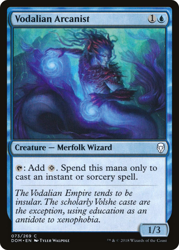 Vodalian Arcanist (DOM-073) [Dominaria]