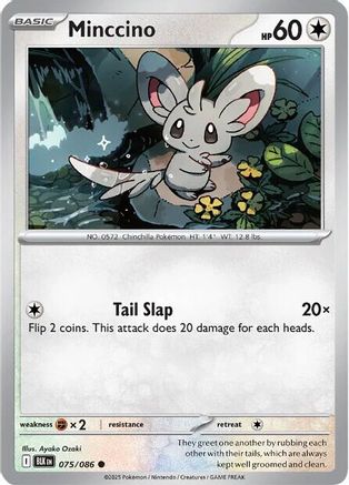 Minccino (075/086) [SV Black Bolt] - Common