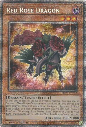 Red Rose Dragon (Starlight Rare) (MP25-EN037) - 2025 Mega-Pack 1st Edition