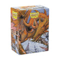 Dragon Shield - Matte Dual Art Standard Sleeves - The Millerax