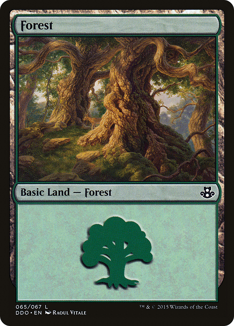 Forest (DDO-065) [Duel Decks: Elspeth vs. Kiora]