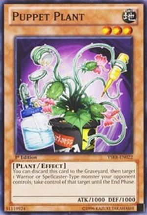 Puppet Plant (Common) (YSKR-EN022) - Starter Deck: Kaiba Reloaded 1st Edition