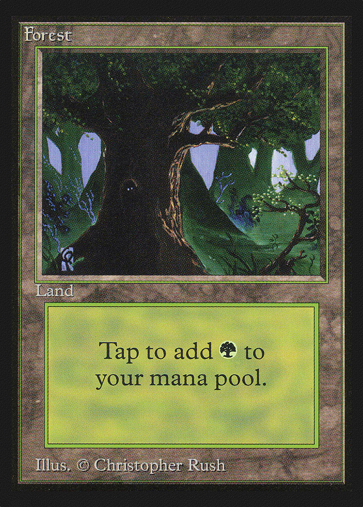 Forest (C) (IE) (IED-302) [Intl. Collectors' Edition]