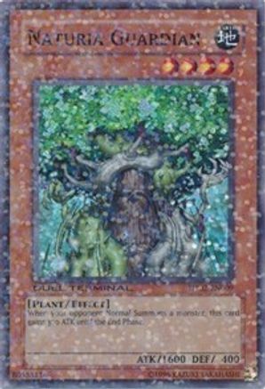 Naturia Guardian (Duel Terminal Super Parallel Rare) (DT02-EN009) - Duel Terminal 2 Limited