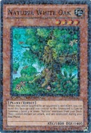 Naturia White Oak (Duel Terminal Super Parallel Rare) (DT04-EN081) - Duel Terminal 4 Limited
