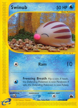 Swinub (107/144) [Skyridge] Reverse Holofoil - Common
