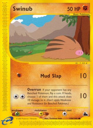 Swinub (108/144) [Skyridge] - Common