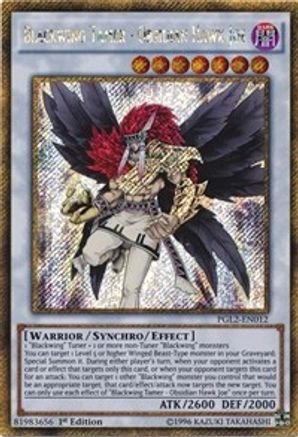 Blackwing Tamer - Obsidian Hawk Joe (Gold Secret Rare) (PGL2-EN012) - Premium Gold: Return of the Bling Unlimited