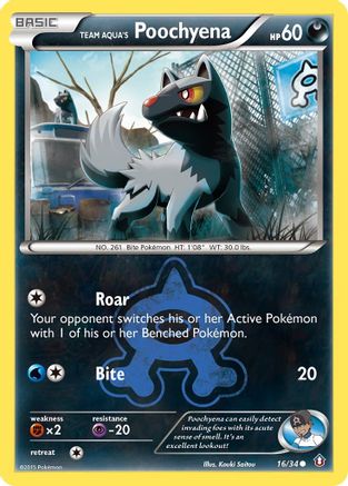 Team Aqua's Poochyena (016/34) [Double Crisis] - Common