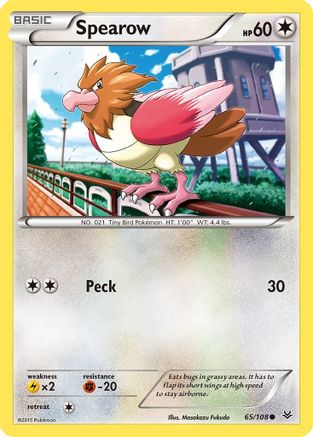 Spearow (065/108) [XY  Roaring Skies] - Common