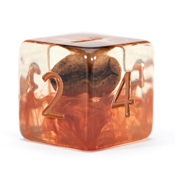Gate Keeper Games - Inclusion Dice - 'Coffee Dice' - 12d6 Dice Set