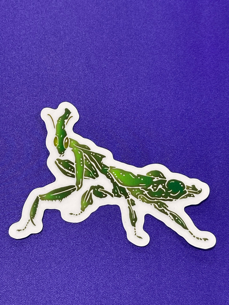 Shapes In Nature - Non-foil Stickers