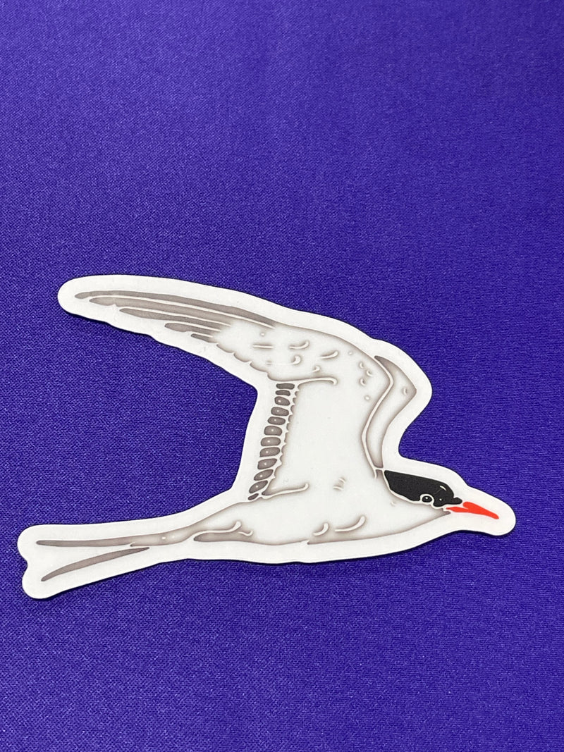 Shapes In Nature - Non-foil Stickers