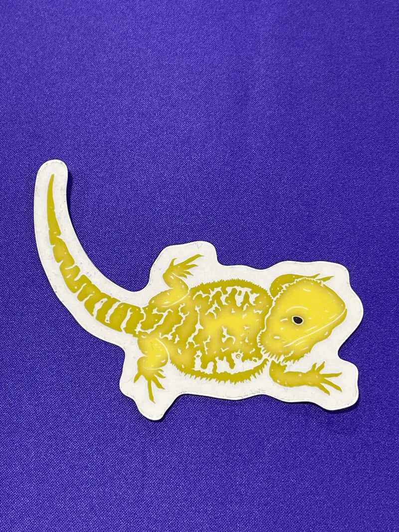 Shapes In Nature - Non-foil Stickers