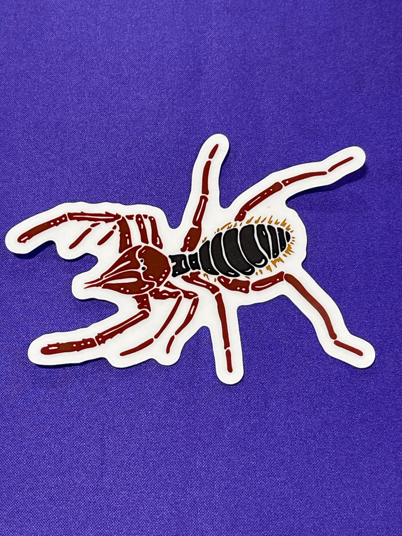 Shapes In Nature - Non-foil Stickers