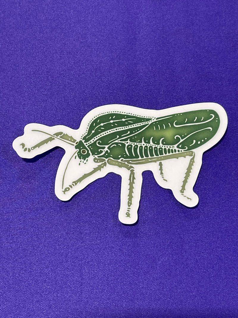 Shapes In Nature - Non-foil Stickers