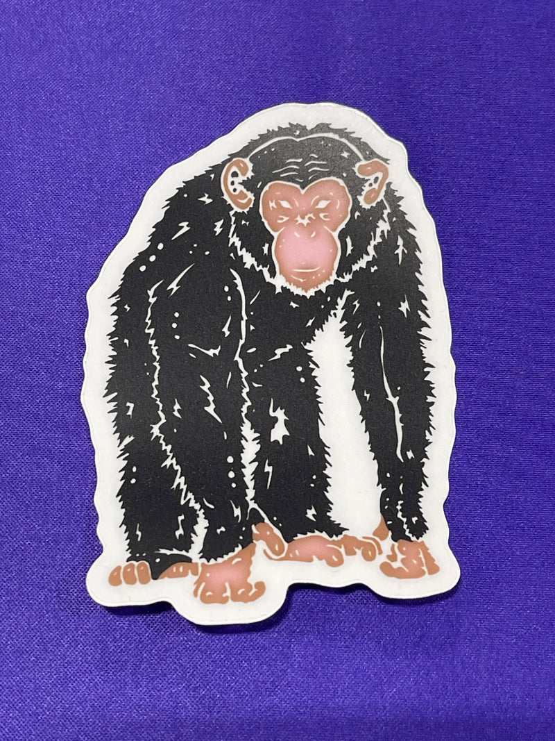 Shapes In Nature - Non-foil Stickers