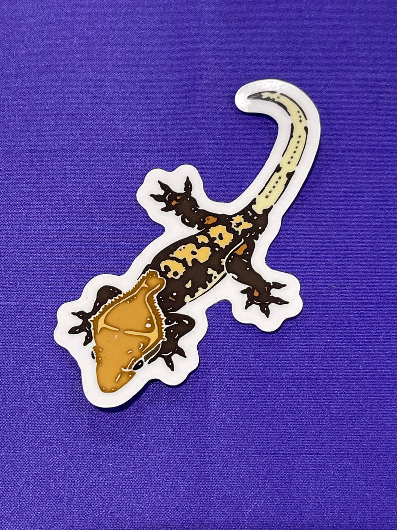 Shapes In Nature - Non-foil Stickers