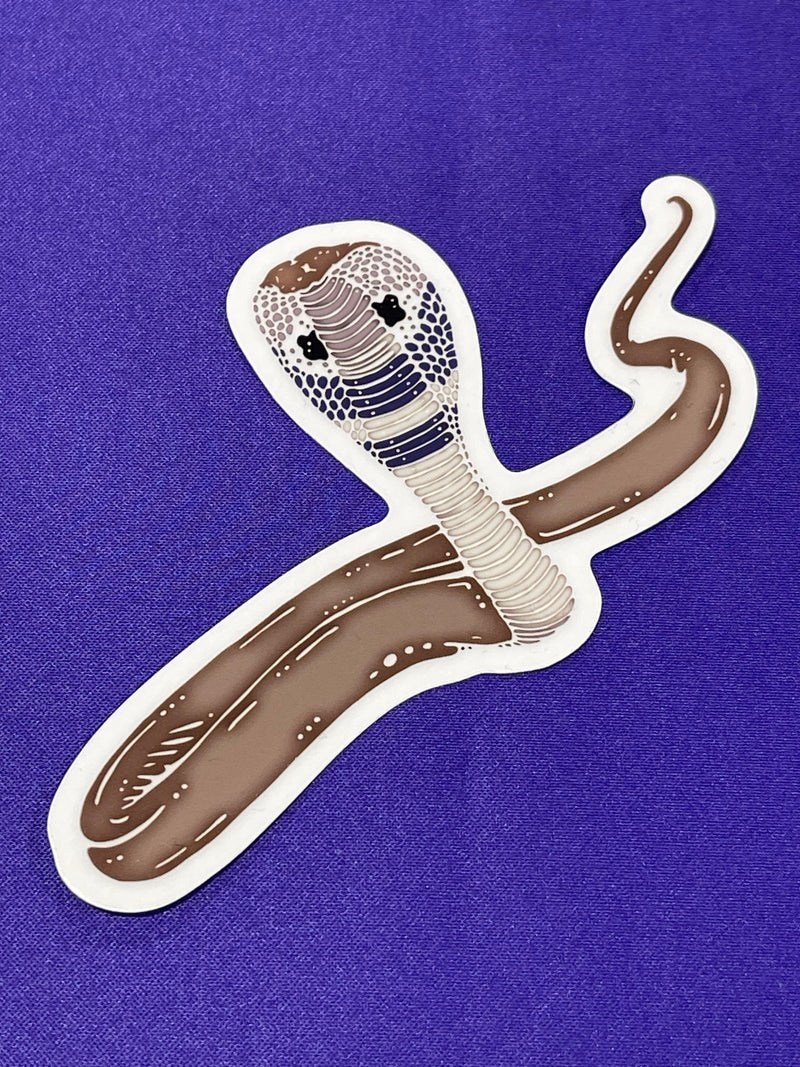 Shapes In Nature - Non-foil Stickers