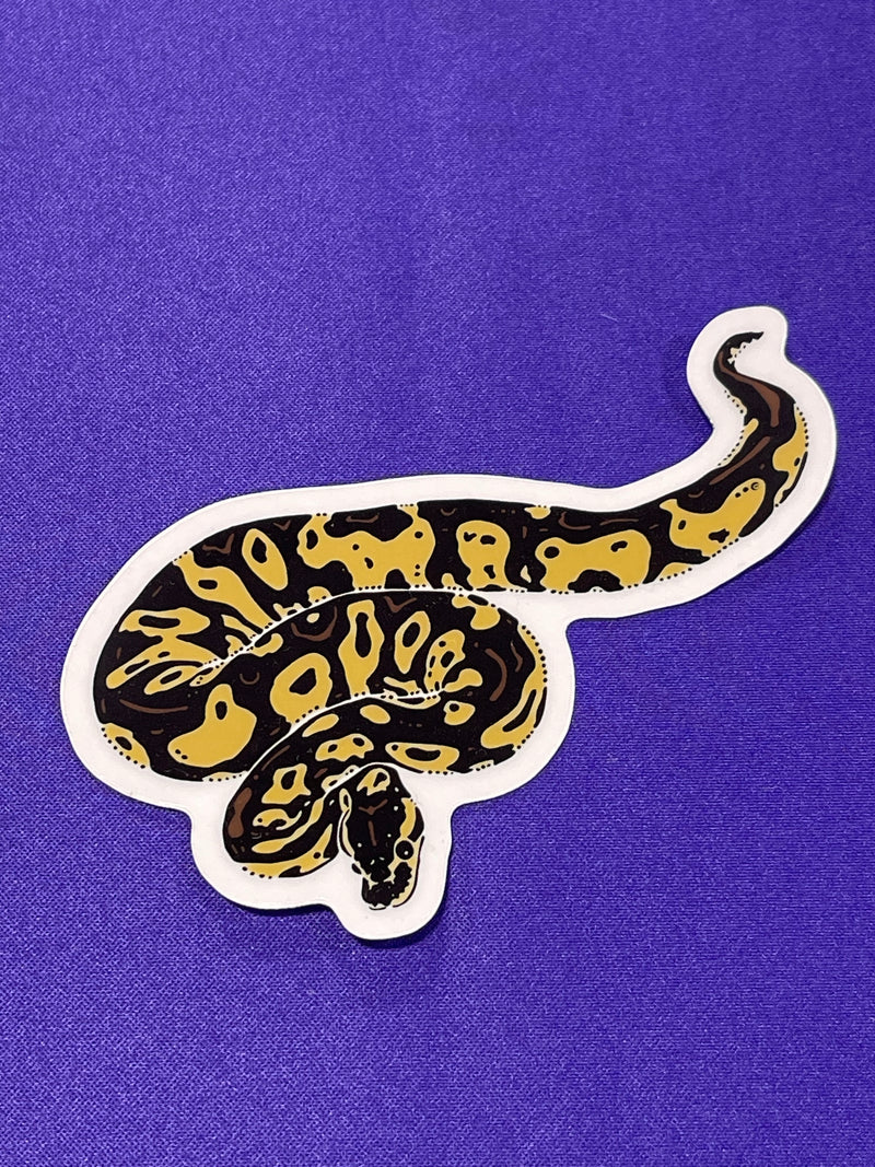 Shapes In Nature - Non-foil Stickers