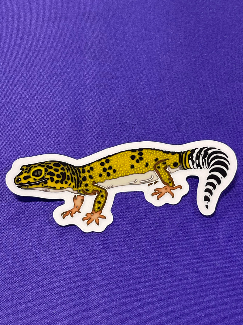 Shapes In Nature - Non-foil Stickers