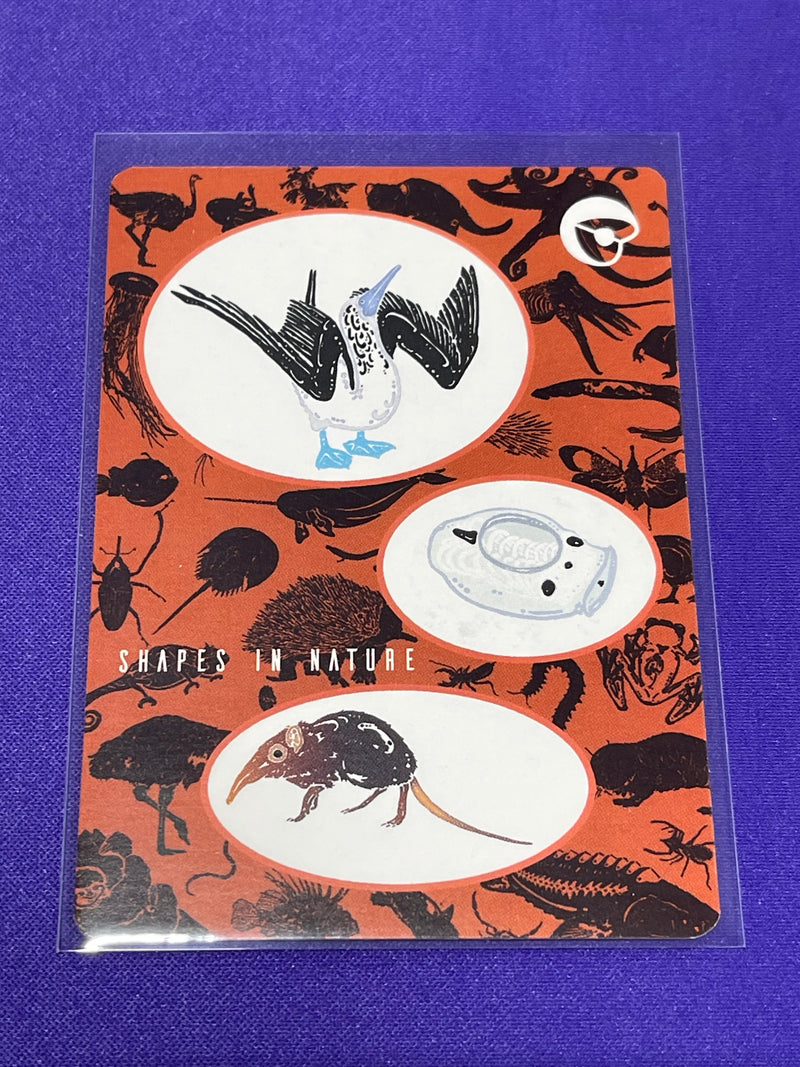 Shapes In Nature - Promos