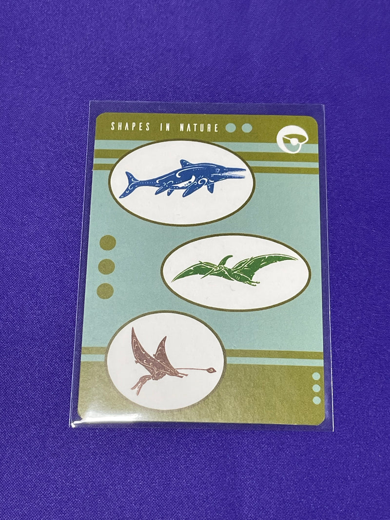 Shapes In Nature - Promos