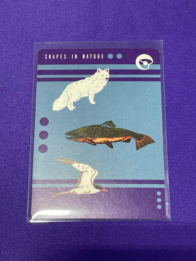 Shapes In Nature - Promos