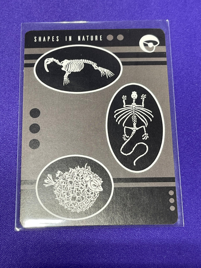 Shapes In Nature - Promos